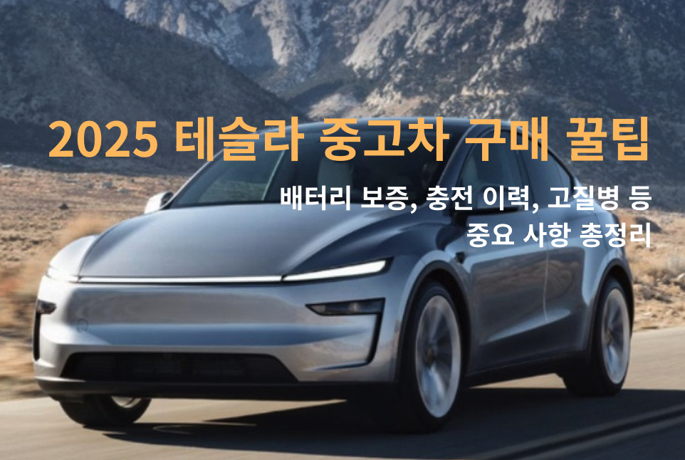 중고 테슬라 구매 꿀팁