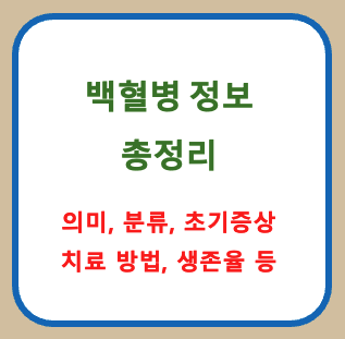 백혈병 초기증상부터 생존율까지, 꼭 알아야 할 핵심 정보