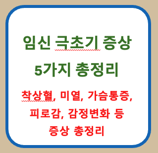 임신 극초기 증상 5가지★지금 체크해보세요!