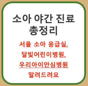 서울 소아 응급실 및 야간 진료 가능 병원 총정리 : 달빛 어린이 병원 & 우리아이 안심병원